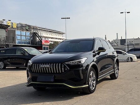 Haval Chitu 2022 Jinxiang Edition 1.5T Copper Rabbit