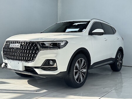 Haval H6 2023 National Tide Edition 1.5T Automatic Champion 630054