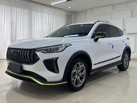 Haval Chitu (Red Rabbit) 2022, 1.5T Jinxing Edition (Zitong Rabbit) 018051