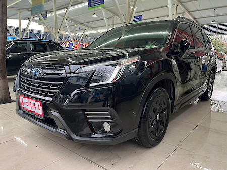 Subaru Forester, 2022, 2.0 CVT (150 л.с.), внедорожник, полный привод 156704